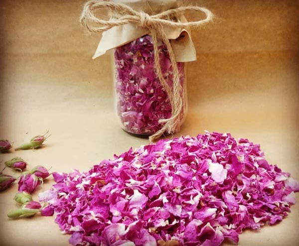 گل محمدی خشک شده با حفظ رایحه طبیعی و طراوت رنگی بالا